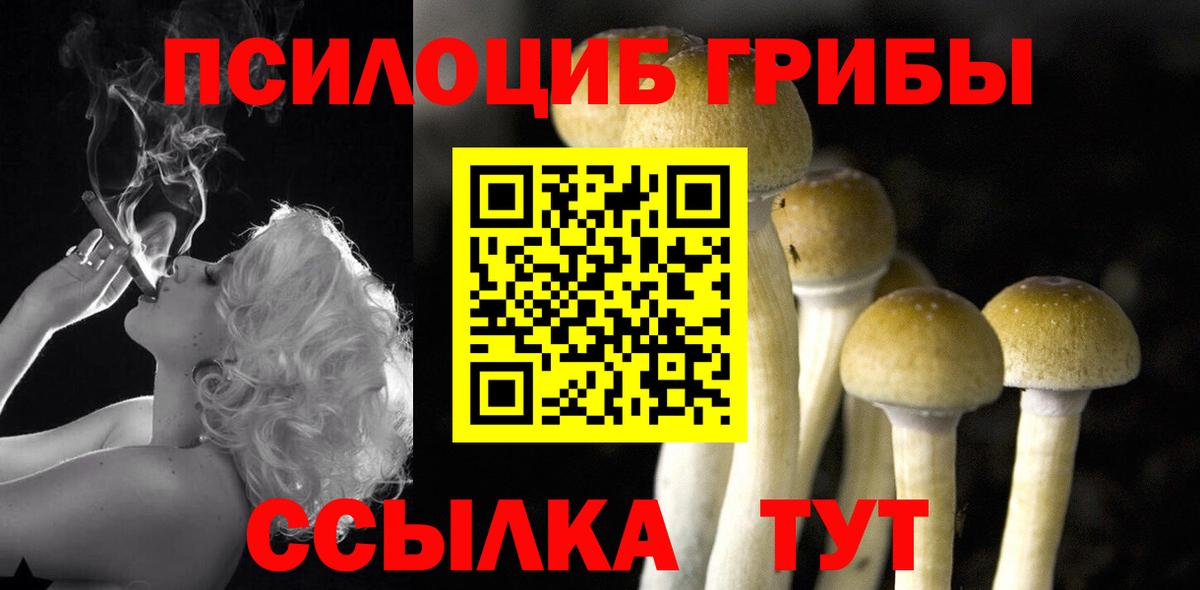 Пушкино  Галлюциногенные грибы Psilocybine cubensis  Вход с VPN 